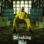 Breaking Bad : 2.Sezon 9.Bölüm izle