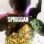SPRIGGAN : 1.Sezon 6.Bölüm izle