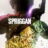 SPRIGGAN : 1.Sezon 6.Bölüm izle