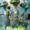 Alien TV : 1.Sezon 1.Bölüm izle