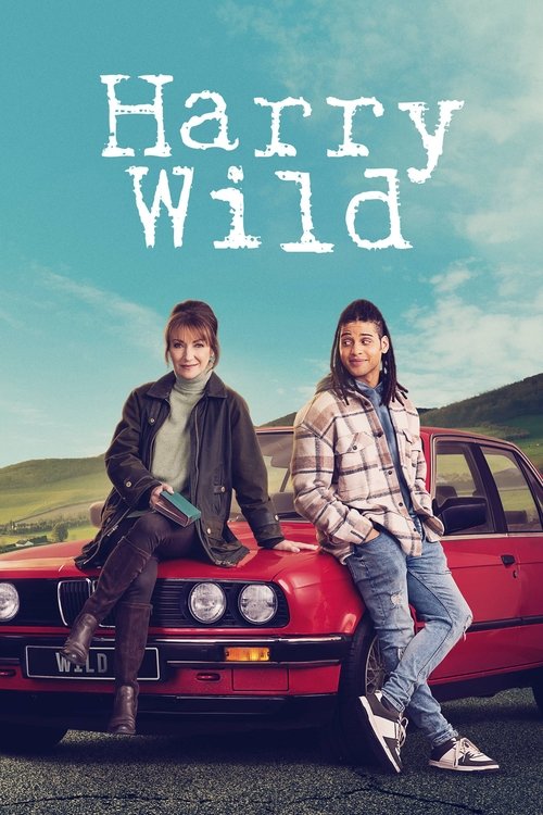 Harry Wild : 3.Sezon 4.Bölüm