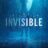 Invisible : 1.Sezon 6.Bölüm izle