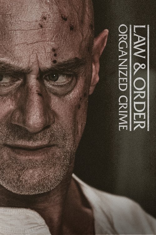 Law & Order Organized Crime : 4.Sezon 8.Bölüm