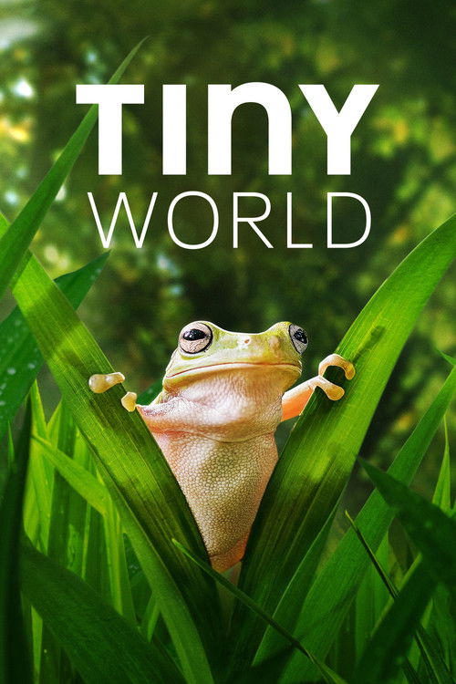 Tiny World : 2.Sezon 1.Bölüm